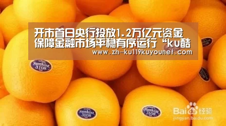 开市首日央行投放1.2万亿元资金 保障金融市场平稳有序运行“ku酷游官网网址”(图4) ku酷游官网网址